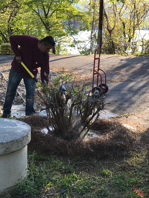 Deerwood Renovation Landscaping