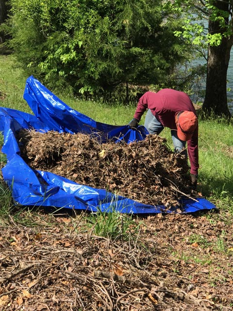 Deerwood Renovation Landscaping