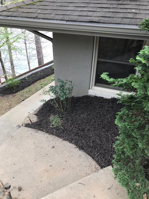 Deerwood Renovation Landscaping